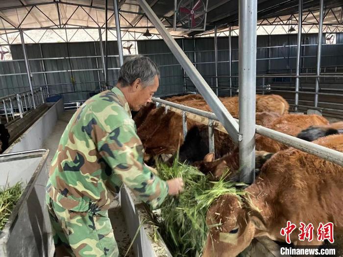 帮扶连“需”更连“心” 浙江嘉兴与丽水共谱“山海情”