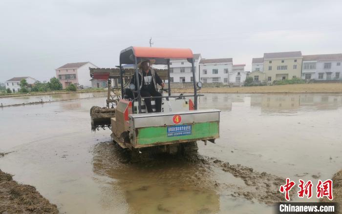 “土地银行”守住耕地红线 湖南岳阳县万象“耕”新不负春光